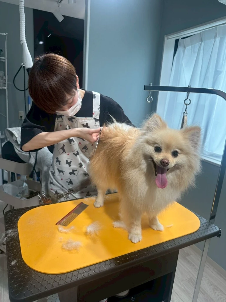 pet salon mofu 1